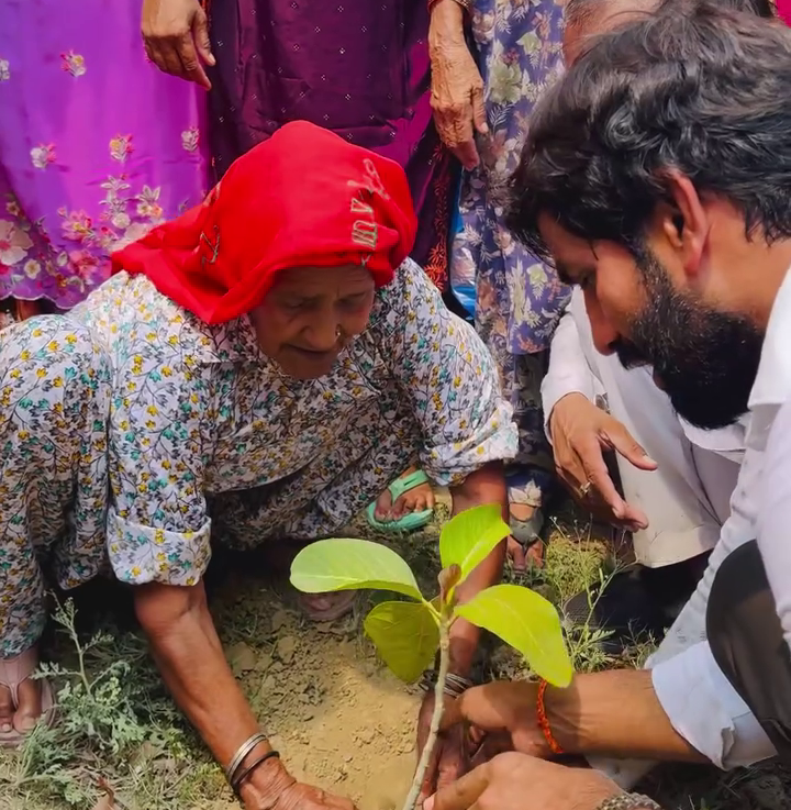 People planting trees outdoors in a community environment to promote environmental care and sustainability